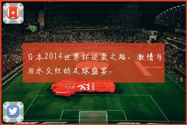 日本2014世界杯逆袭之路，激情与泪水交织的足球盛宴，