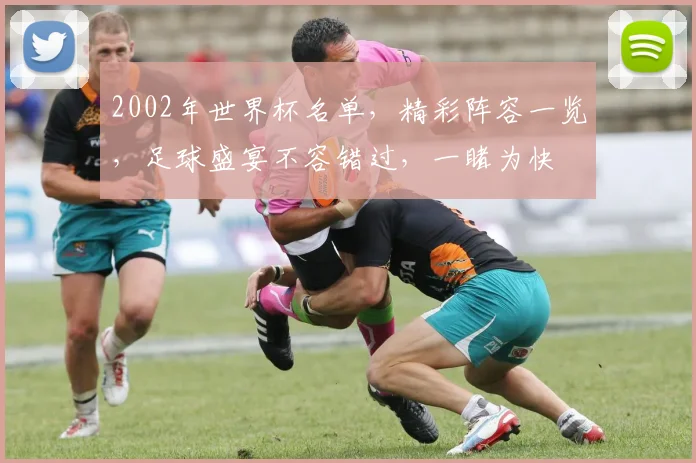 2002年世界杯名单，精彩阵容一览，足球盛宴不容错过，一睹为快